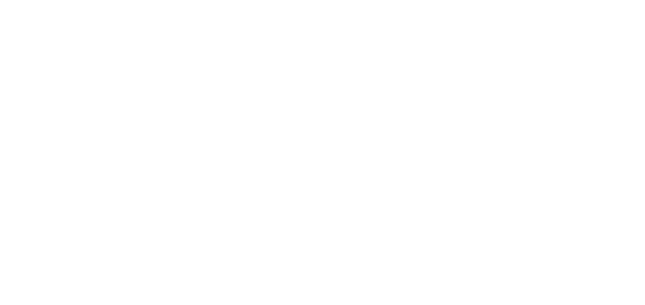 Evolutel